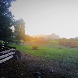 Meet your Posher, Allissa